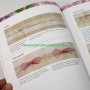 Libro guía completa de bordado en lamargaridacreativa 3