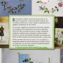 Libro bordados Mí jardín bordado de kazuko Aoki 6